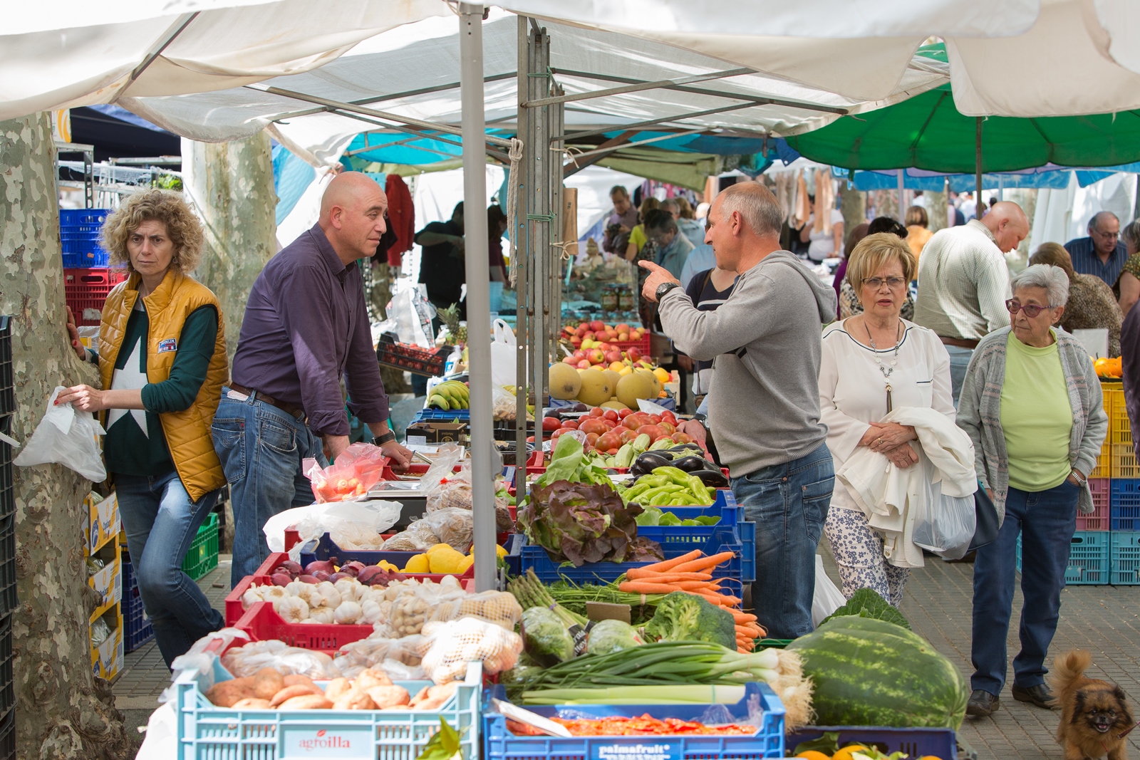 Markt 70