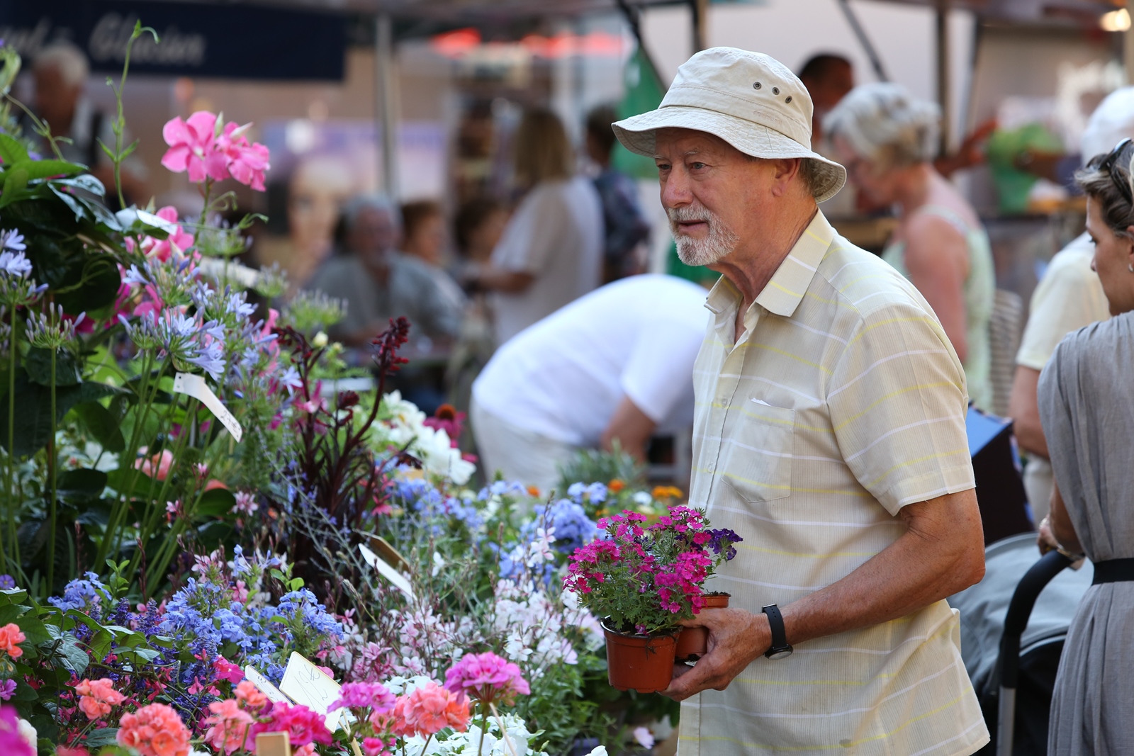 Markt 83