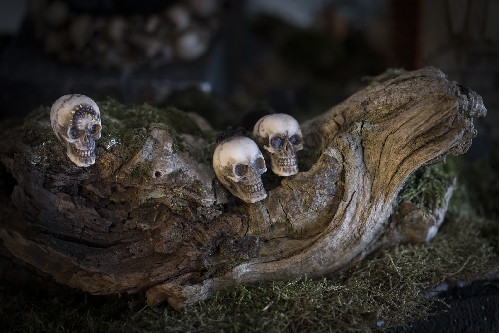 Horrorhaus 11