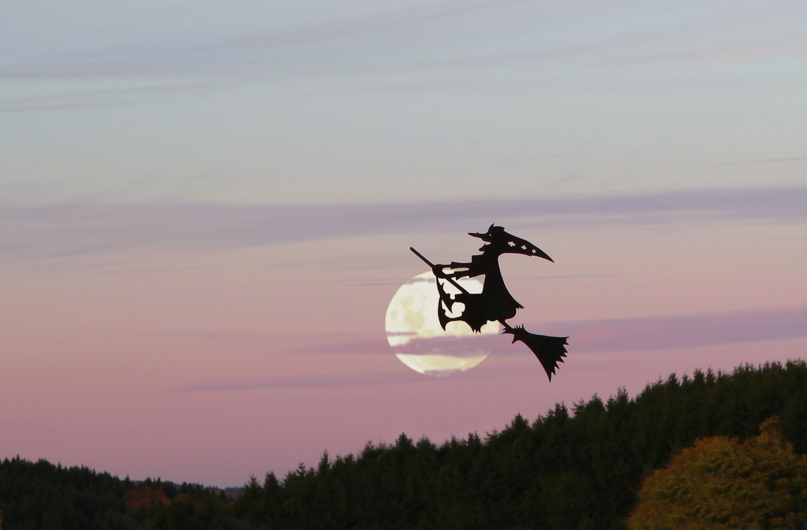 Bildbearbeitung mit Photoshop I