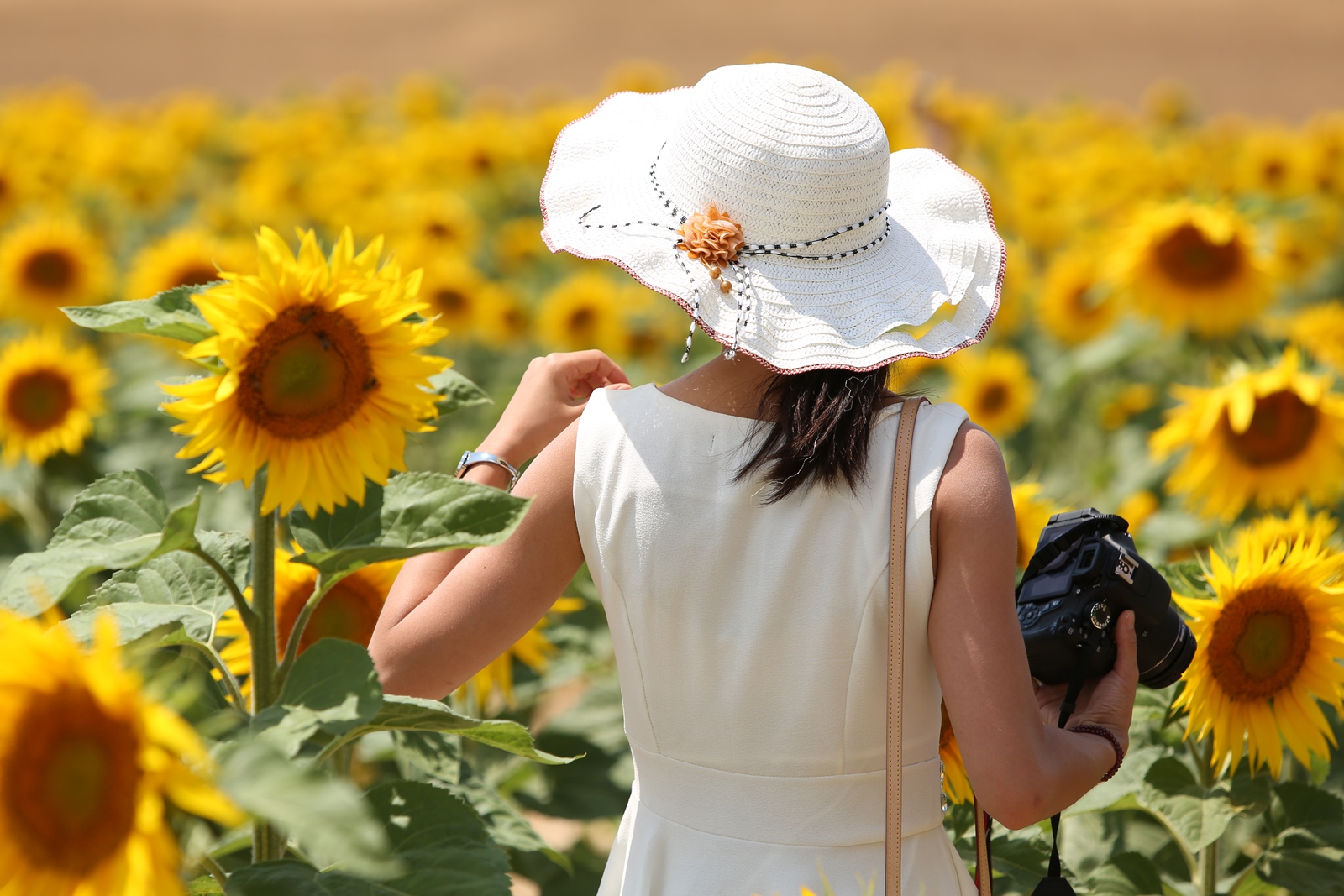 Coaching & Fotoreisen