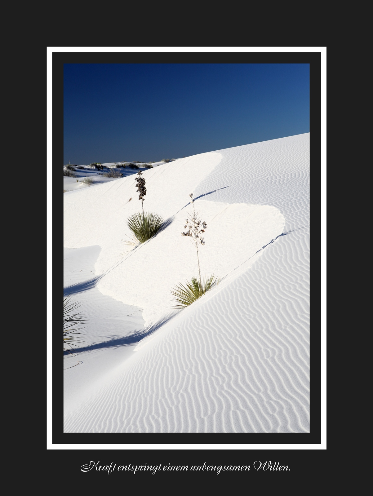 White Sands