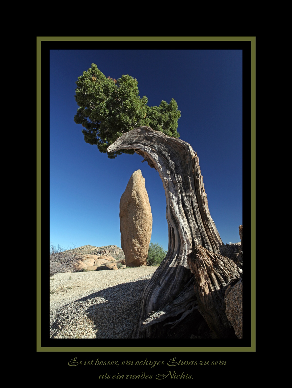 Stone & Tree