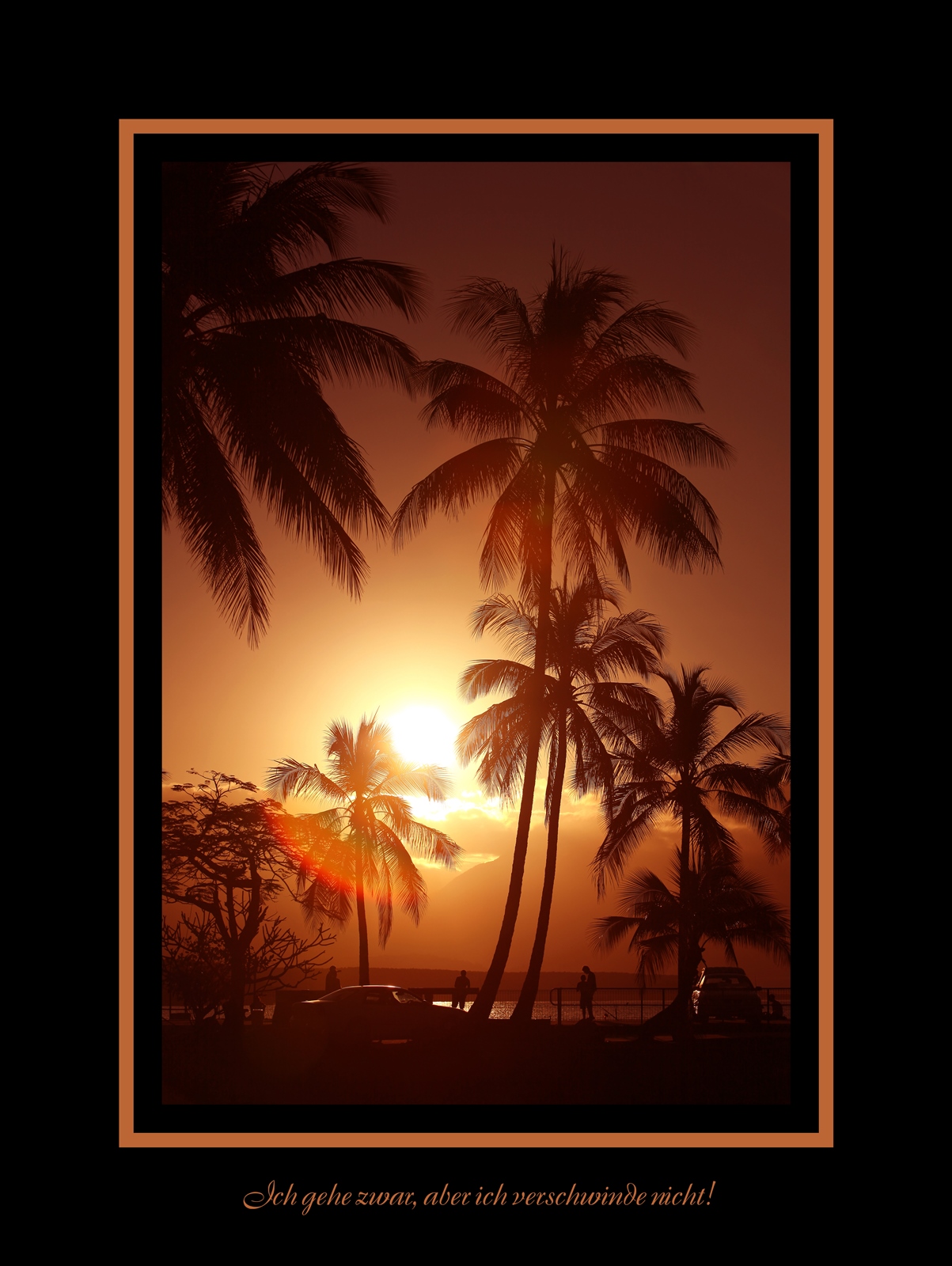 Palm Sunset