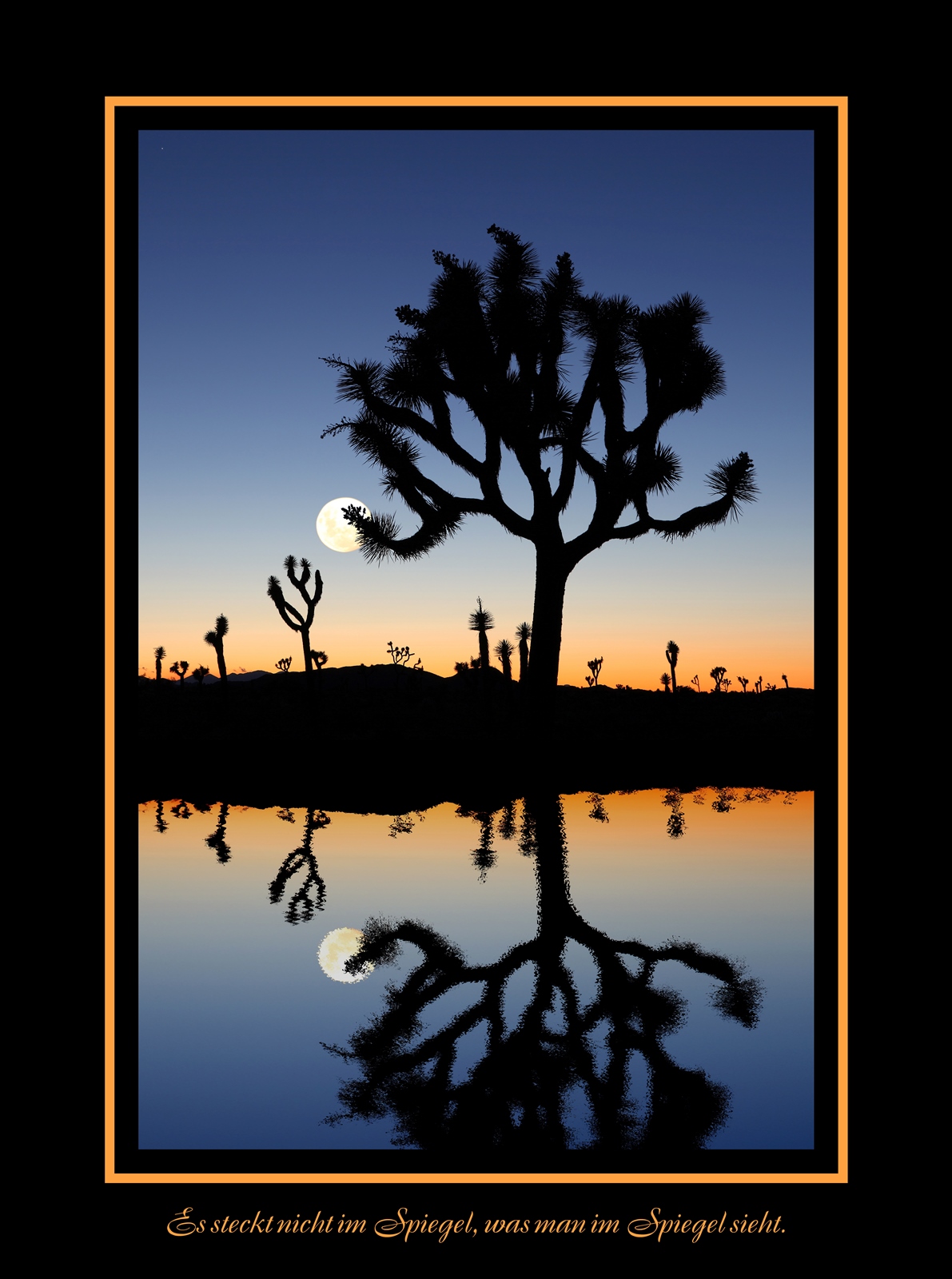 Joshua Tree